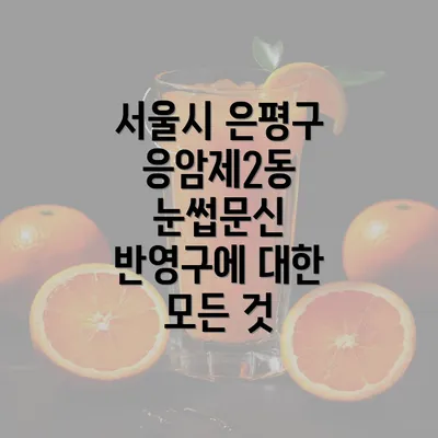 서울시 은평구 응암제2동 눈썹문신 반영구에 대한 모든 것