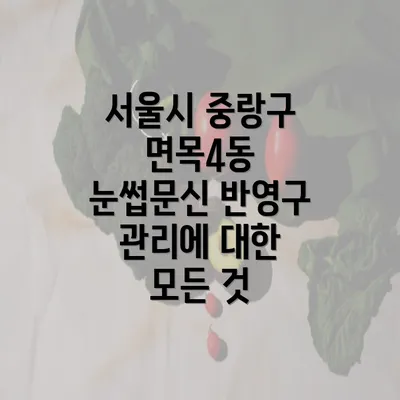 서울시 중랑구 면목4동 눈썹문신 반영구 관리에 대한 모든 것