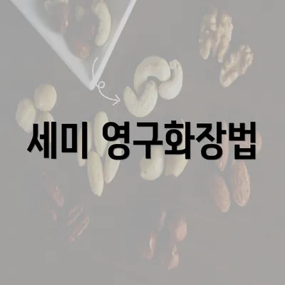 세미 영구화장법