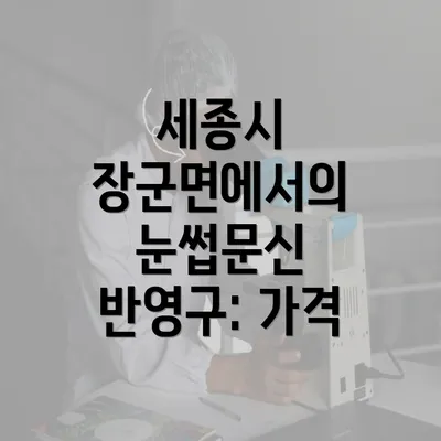 세종시 장군면에서의 눈썹문신 반영구: 가격