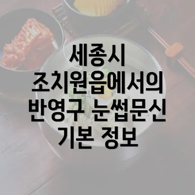 세종시 조치원읍에서의 반영구 눈썹문신 기본 정보