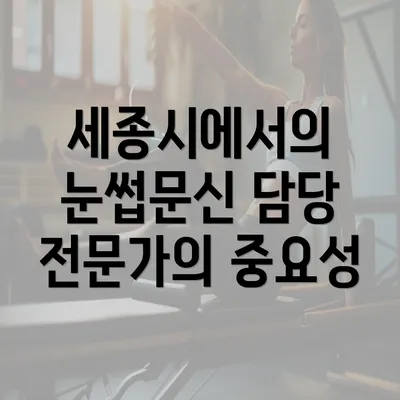 세종시에서의 눈썹문신 담당 전문가의 중요성