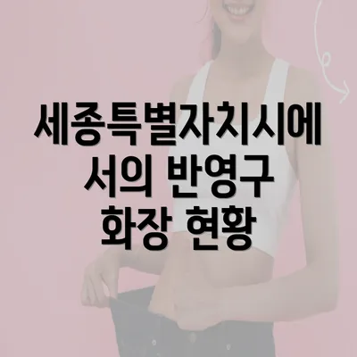 세종특별자치시에서의 반영구 화장 현황