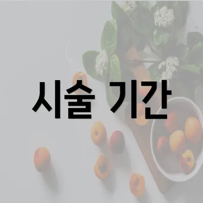 시술 기간