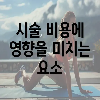 시술 비용에 영향을 미치는 요소