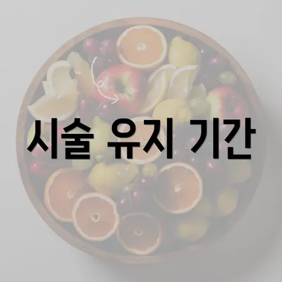 시술 유지 기간