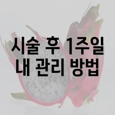 시술 후 1주일 내 관리 방법