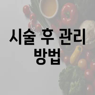 시술 후 관리 방법