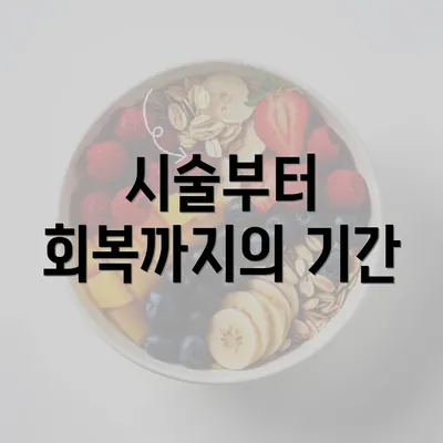 시술부터 회복까지의 기간