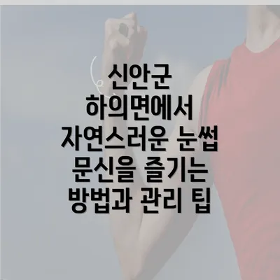 신안군 하의면에서 자연스러운 눈썹 문신을 즐기는 방법과 관리 팁