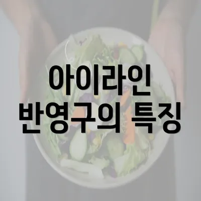 아이라인 반영구의 특징