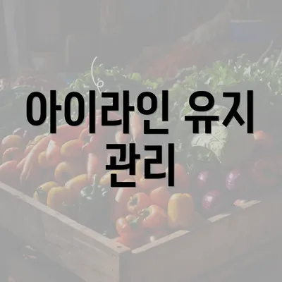 아이라인 유지 관리