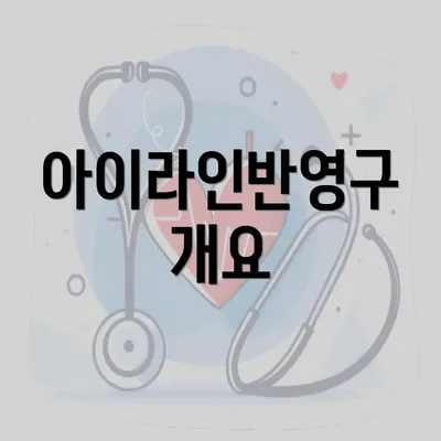 아이라인반영구 개요