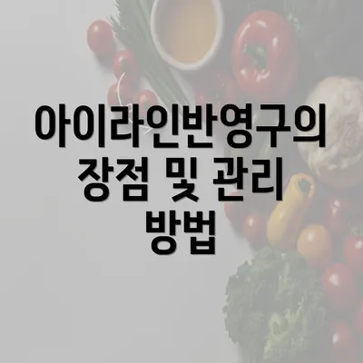 아이라인반영구의 장점 및 관리 방법