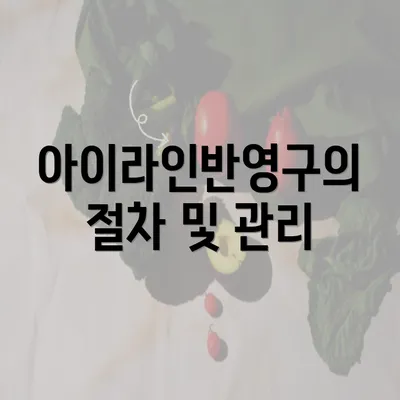 아이라인반영구의 절차 및 관리