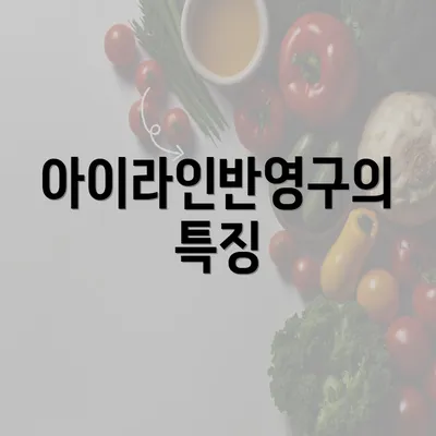 아이라인반영구의 특징