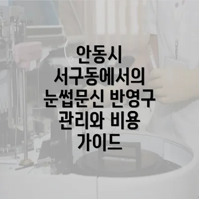 안동시 서구동에서의 눈썹문신 반영구 관리와 비용 가이드