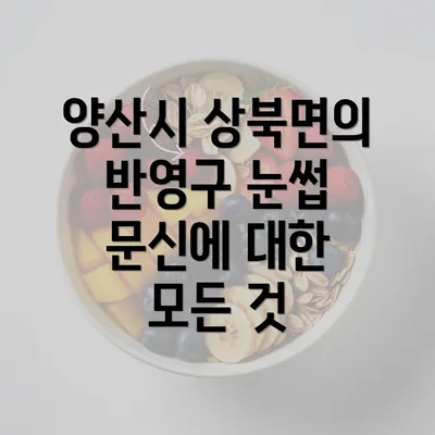 양산시 상북면의 반영구 눈썹 문신에 대한 모든 것