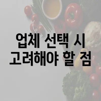 업체 선택 시 고려해야 할 점