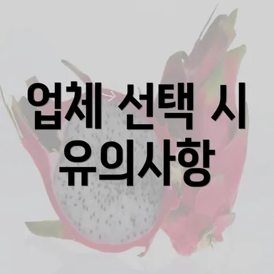 업체 선택 시 유의사항