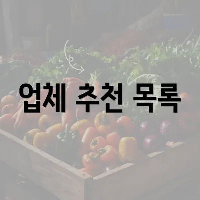 업체 추천 목록