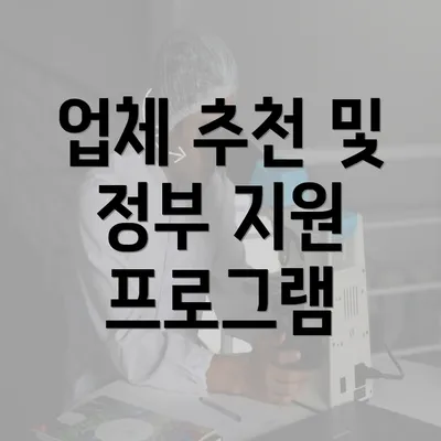 업체 추천 및 정부 지원 프로그램