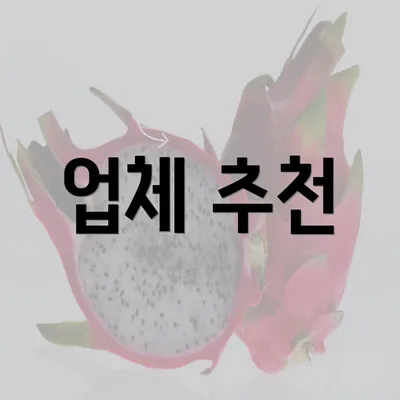 업체 추천