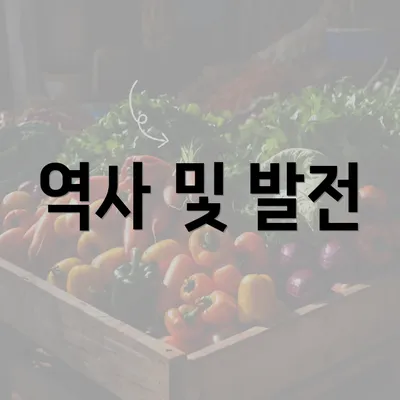 역사 및 발전