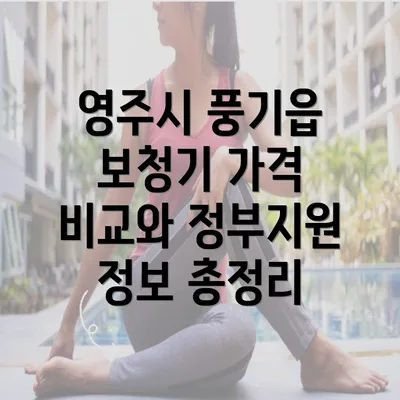 영주시 풍기읍 보청기 가격 비교와 정부지원 정보 총정리