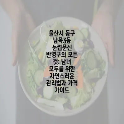 울산시 동구 남목3동 눈썹문신 반영구의 모든 것: 남녀 모두를 위한 자연스러운 관리법과 가격 가이드