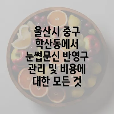 울산시 중구 학산동에서 눈썹문신 반영구 관리 및 비용에 대한 모든 것