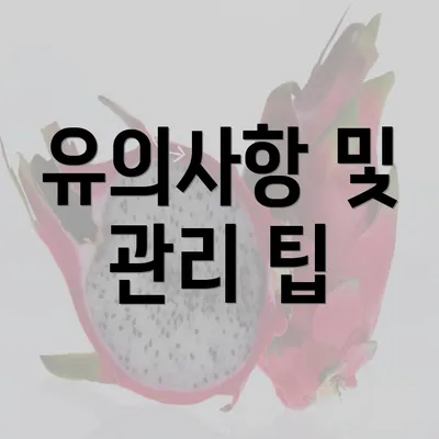 유의사항 및 관리 팁