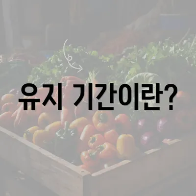 유지 기간이란?