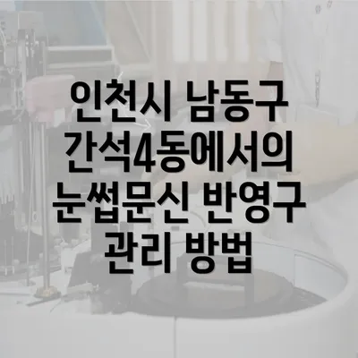 인천시 남동구 간석4동에서의 눈썹문신 반영구 관리 방법