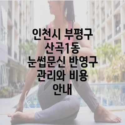 인천시 부평구 산곡1동 눈썹문신 반영구 관리와 비용 안내