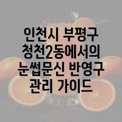 인천시 부평구 청천2동에서의 눈썹문신 반영구 관리 가이드