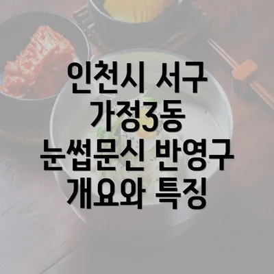 인천시 서구 가정3동 눈썹문신 반영구 개요와 특징