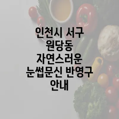 인천시 서구 원당동 자연스러운 눈썹문신 반영구 안내