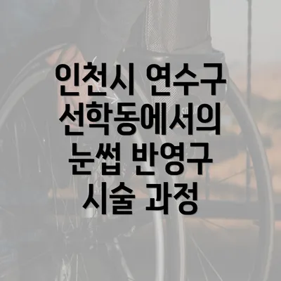 인천시 연수구 선학동에서의 눈썹 반영구 시술 과정