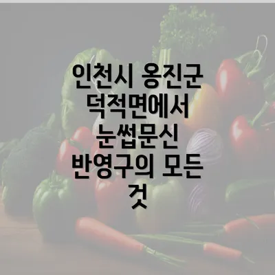 인천시 옹진군 덕적면에서 눈썹문신 반영구의 모든 것