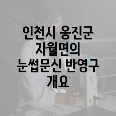 인천시 옹진군 자월면의 눈썹문신 반영구 개요