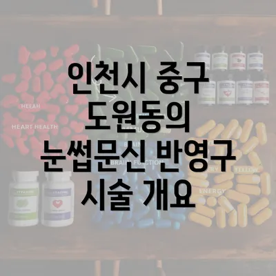 인천시 중구 도원동의 눈썹문신 반영구