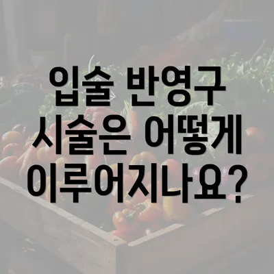 입술 반영구 시술은 어떻게 이루어지나요?