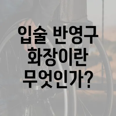 입술 반영구 화장이란 무엇인가?