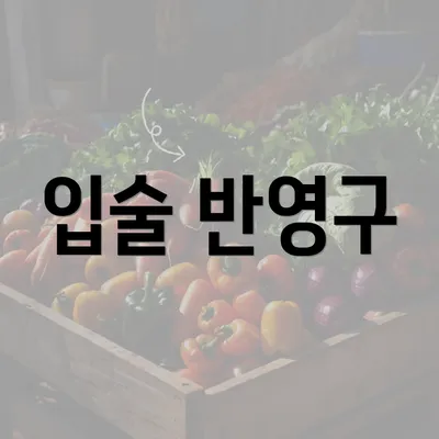 입술 반영구