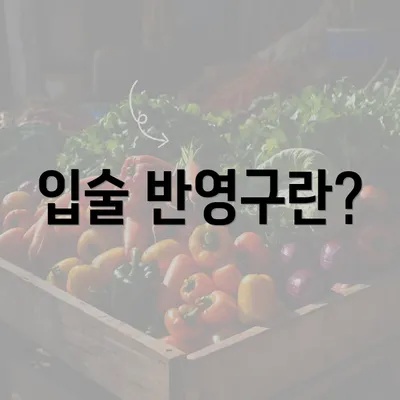 입술 반영구란?