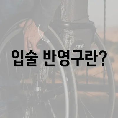 입술 반영구란?