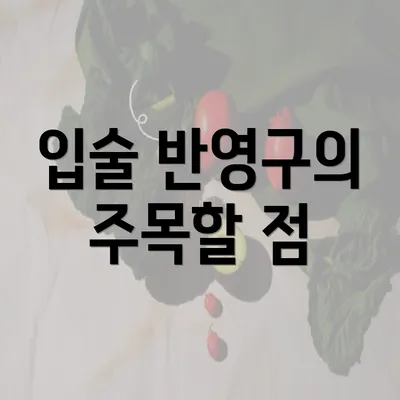 입술 반영구의 주목할 점