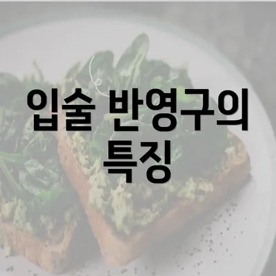 입술 반영구의 특징