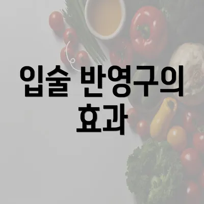 입술 반영구의 효과